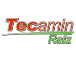 TECAMIN RAIZ
